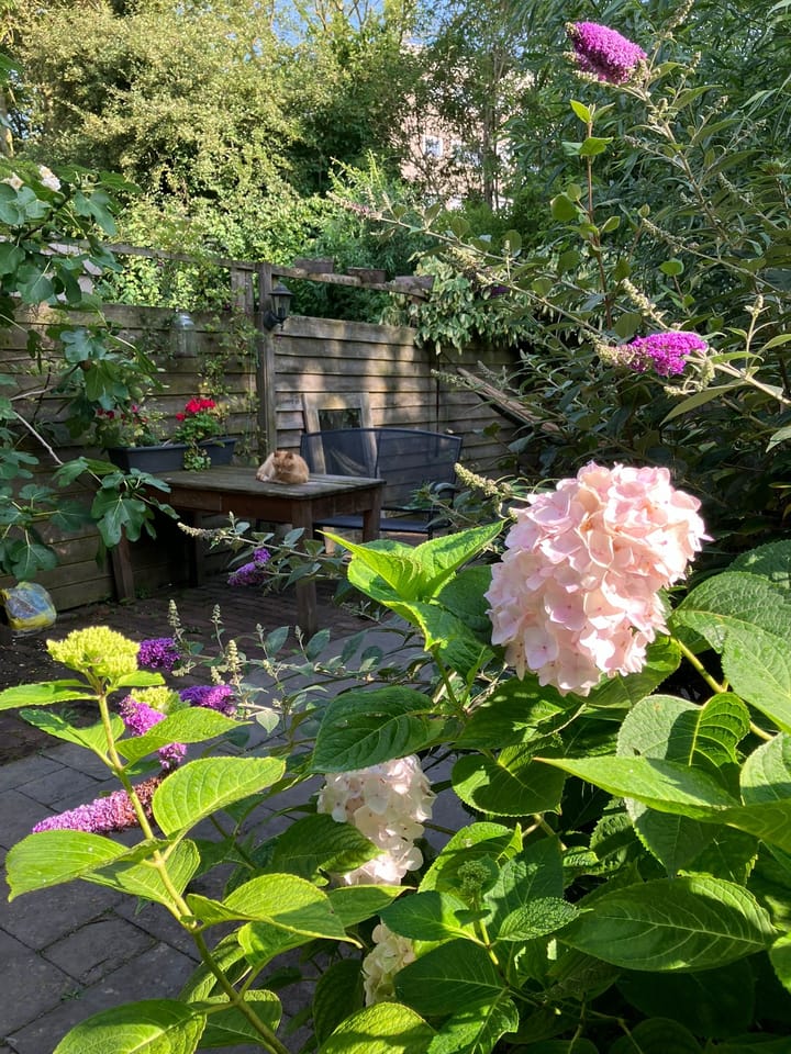 Photo 33 of Duunmede 21