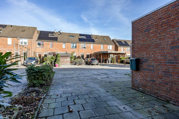 Foto 7 van De Populieren 3