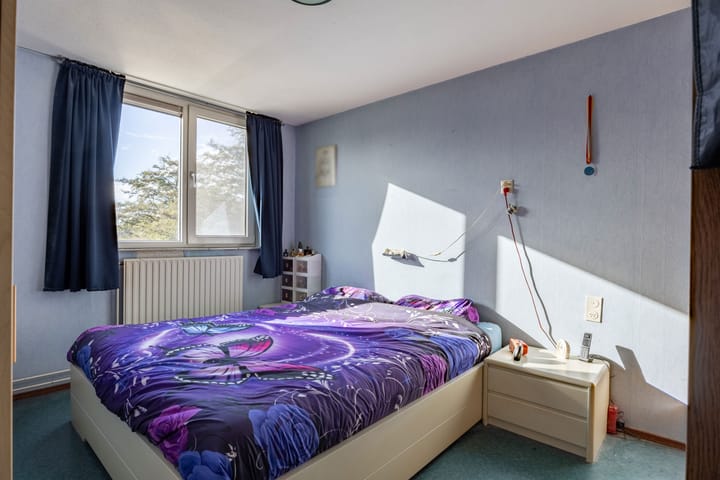 Foto 18 van De Populieren 3