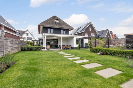 Limes 18 tertiary image