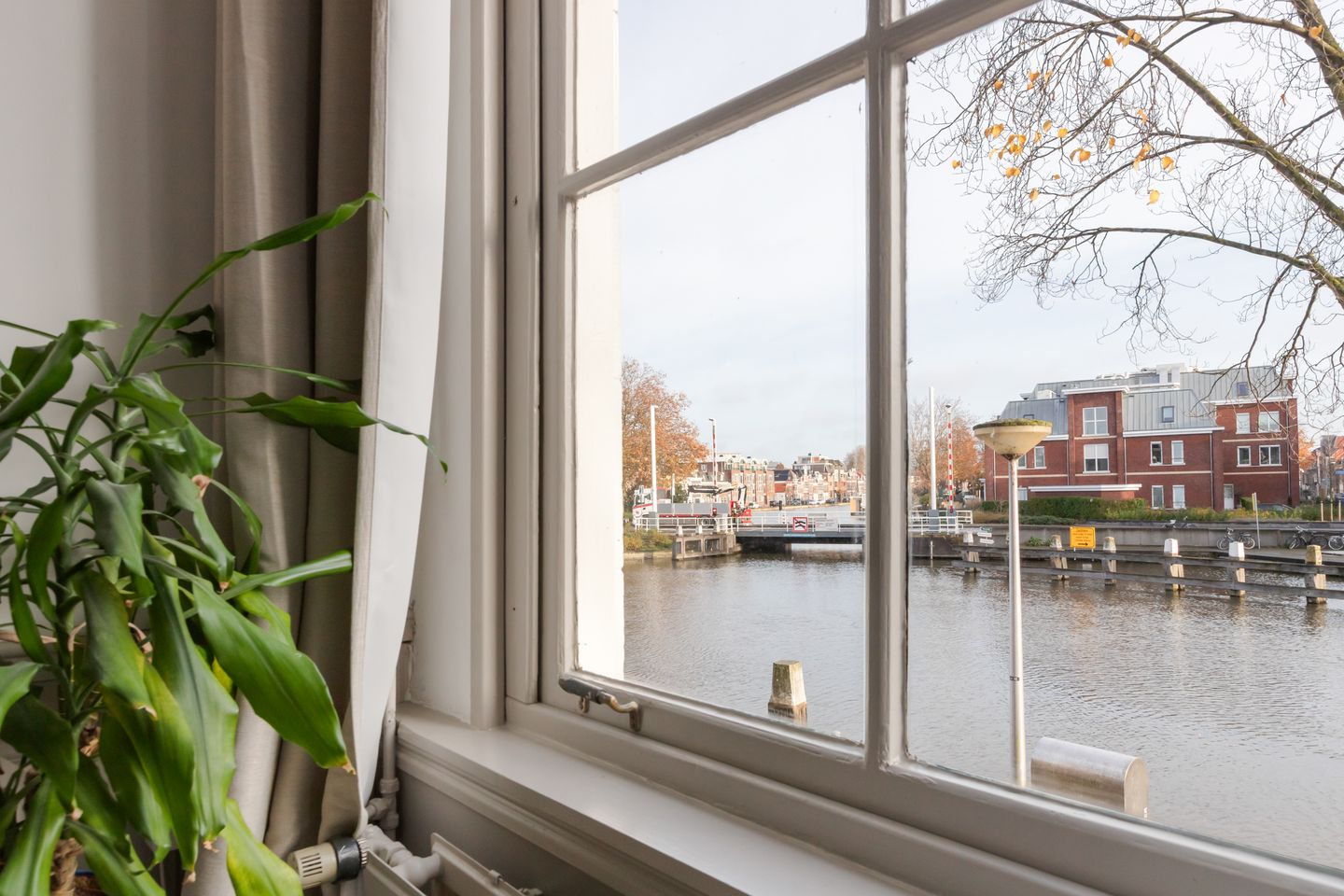 Foto 19 van Turfsingel 76