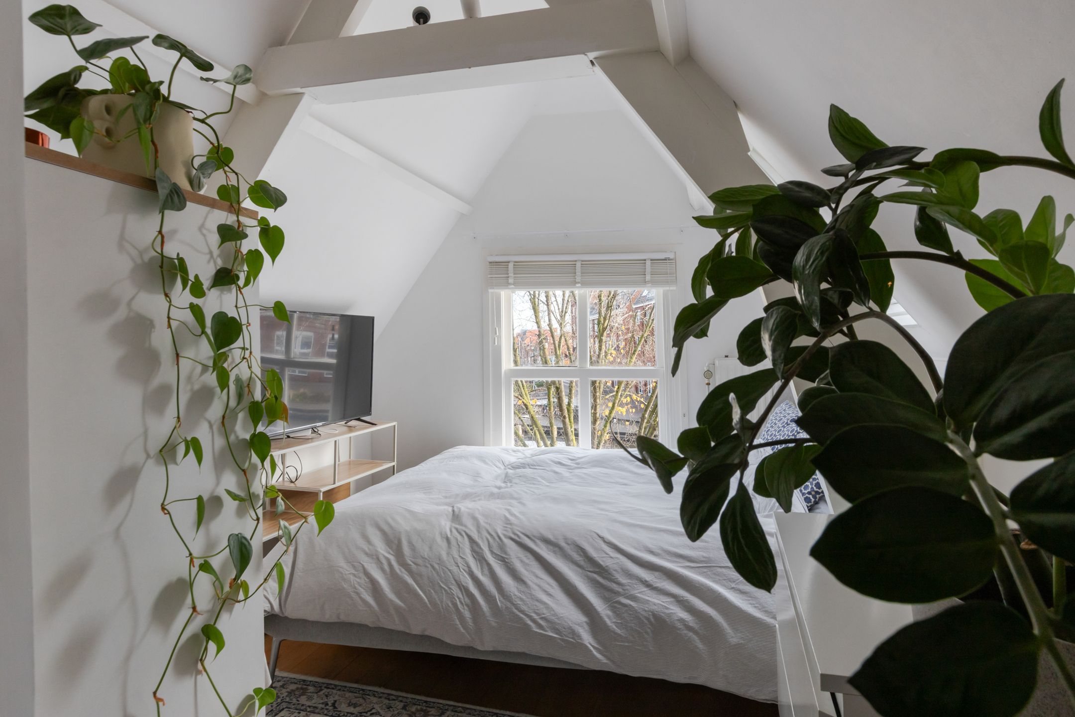 Foto 27 van Turfsingel 76