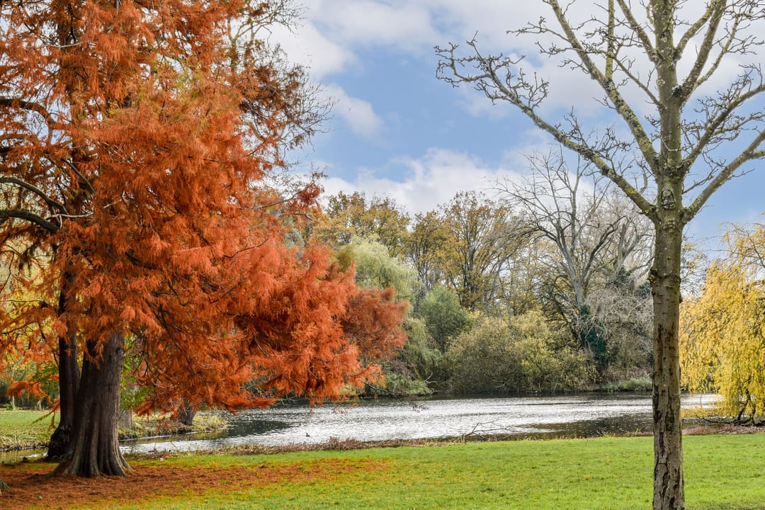 Photo 31 of Eerste Helmersstraat 188-3