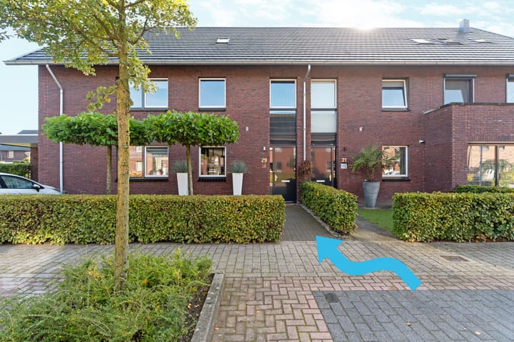 Black Alicante 29 main image