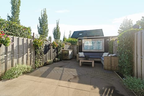 Black Alicante 29 secondary image