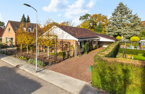 undefined main image