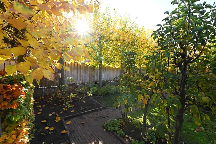 Photo 39 of Doormanweg 10