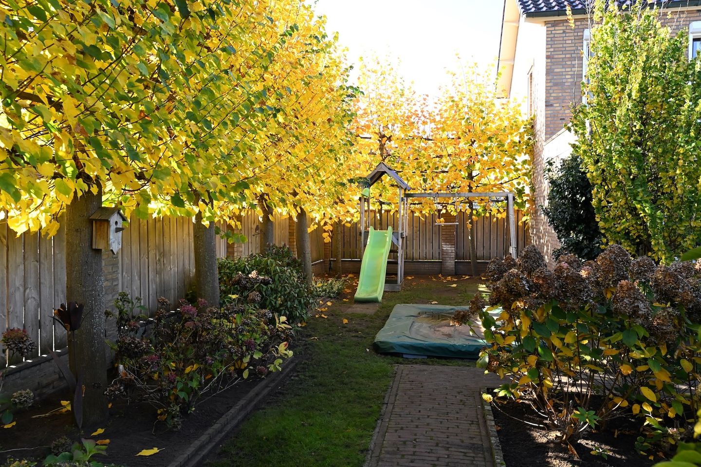 Foto 40 van Doormanweg 10