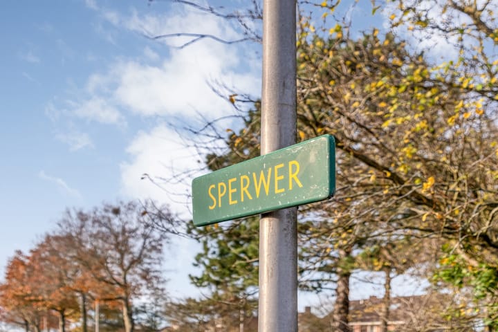 Foto 7 van Sperwer 50