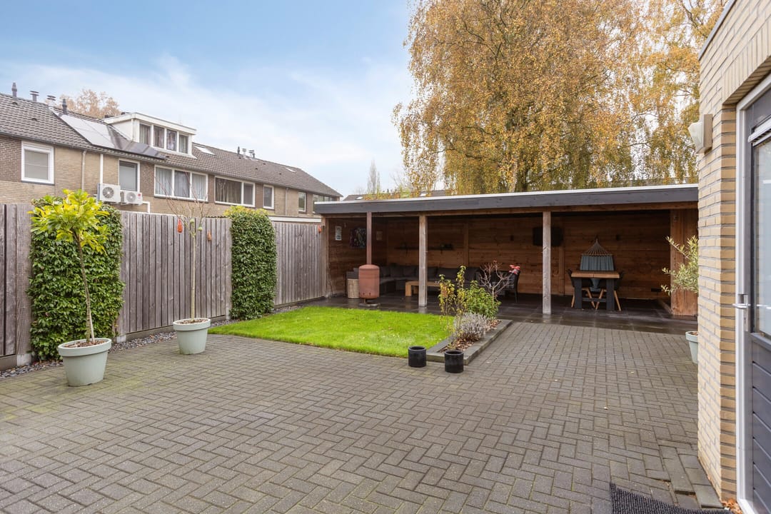 Photo 7 of Omloop 55