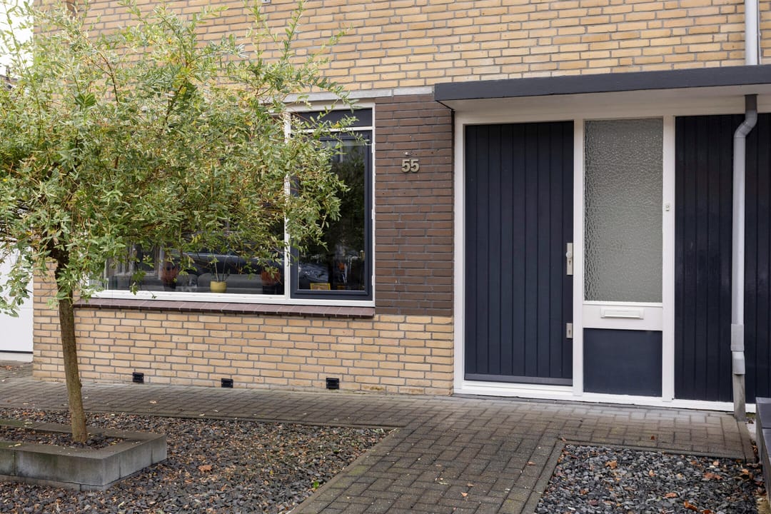 Photo 8 of Omloop 55