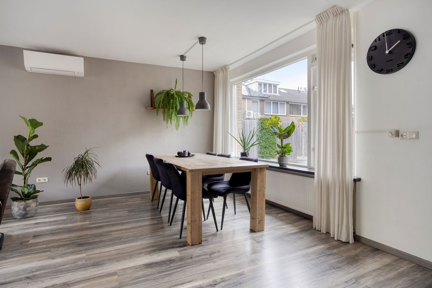 Photo 20 of Omloop 55