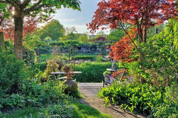 Foto 2 van Pal Maleterstraat 54