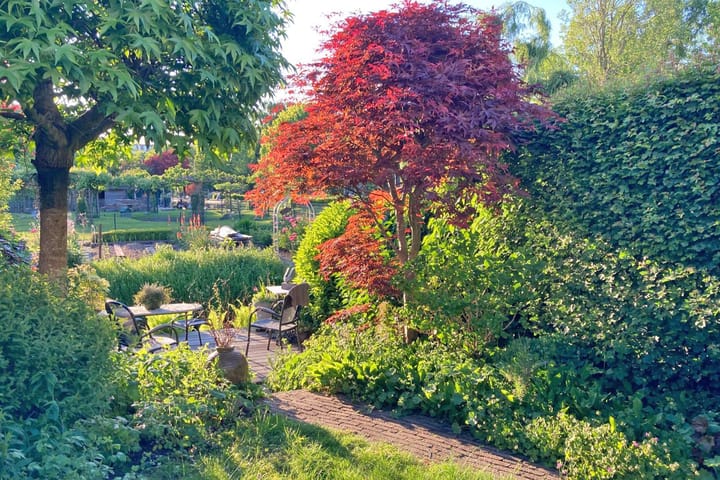 Foto 38 van Pal Maleterstraat 54