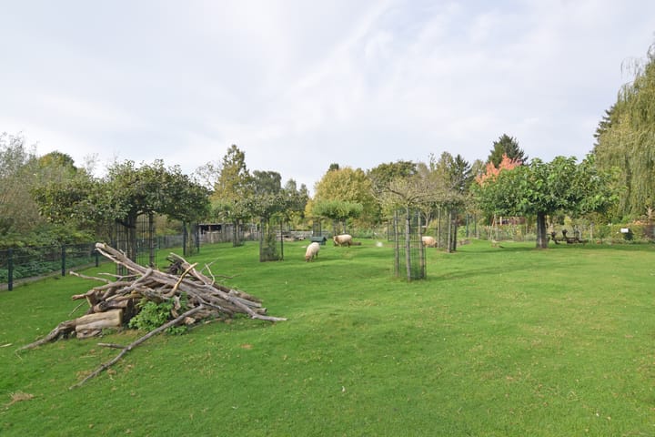 Foto 46 van Pal Maleterstraat 54