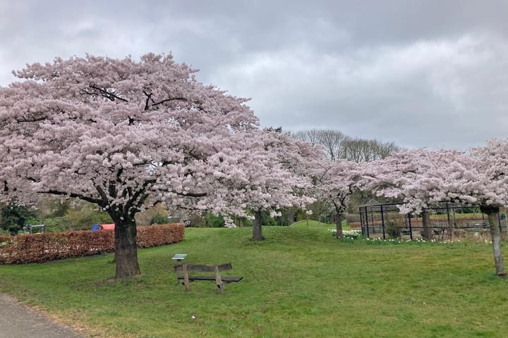 Foto 49 van Pal Maleterstraat 54