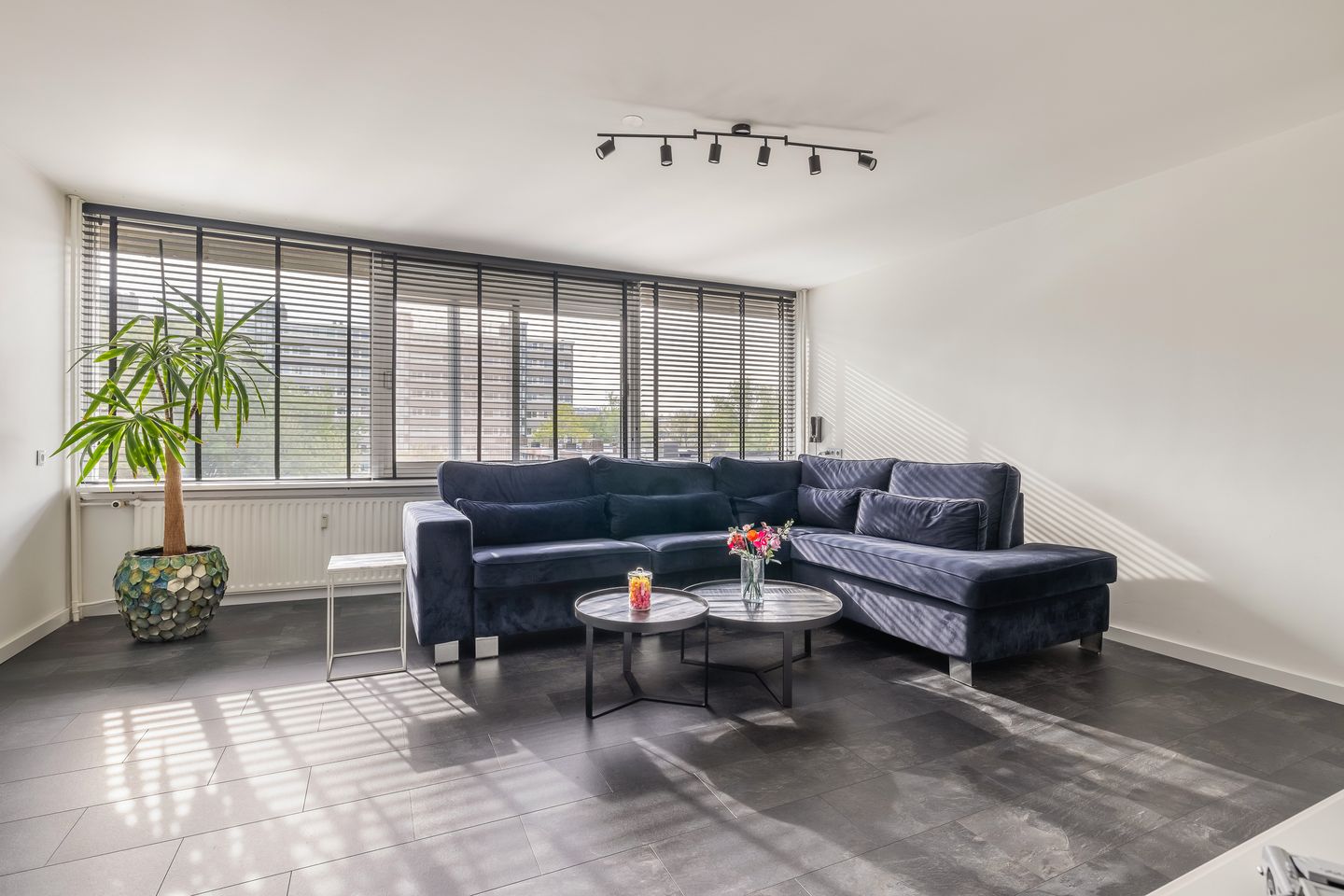 Photo 1 of Androsdreef 140