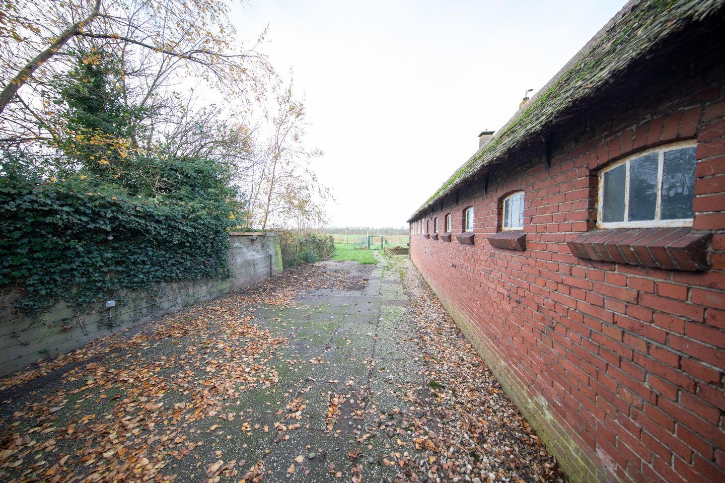 Bekijk foto 3 van Miedwei 28