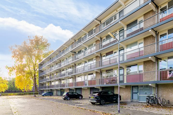 Foto 33 van van Reysstraat 95