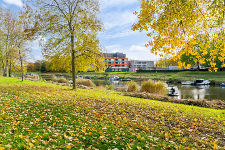 Foto 35 van van Reysstraat 95