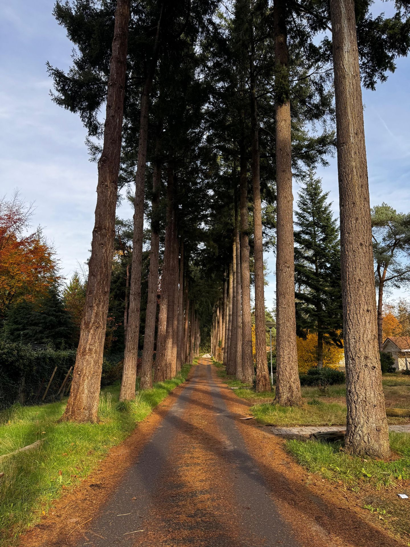 Foto 14 van Hammerweg 40-017