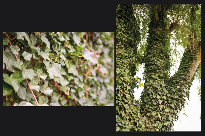 Foto 36 van Paterstraat 132