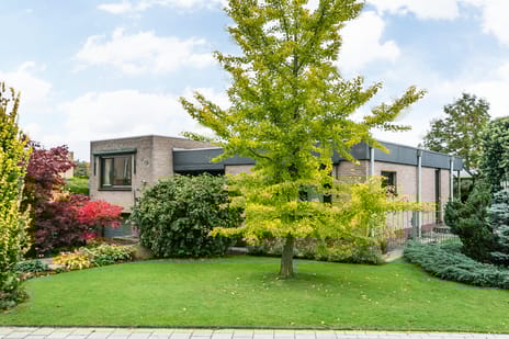 Marshallstraat thumbnail