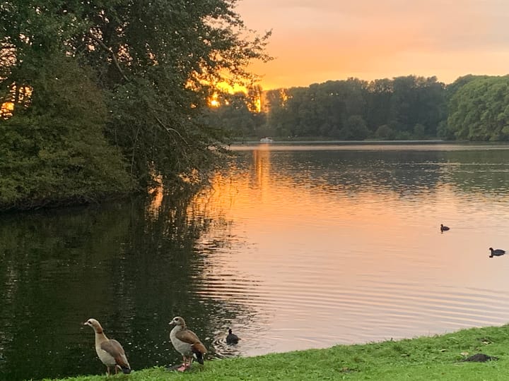 Foto 43 van Oeverpad 566