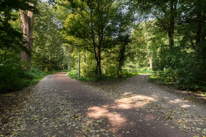 Foto 44 van Oeverpad 566