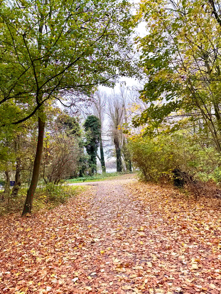 Foto 47 van Oeverpad 566