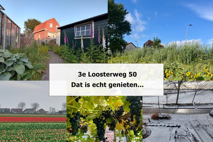 Photo 57 of 3e Loosterweg 50-A