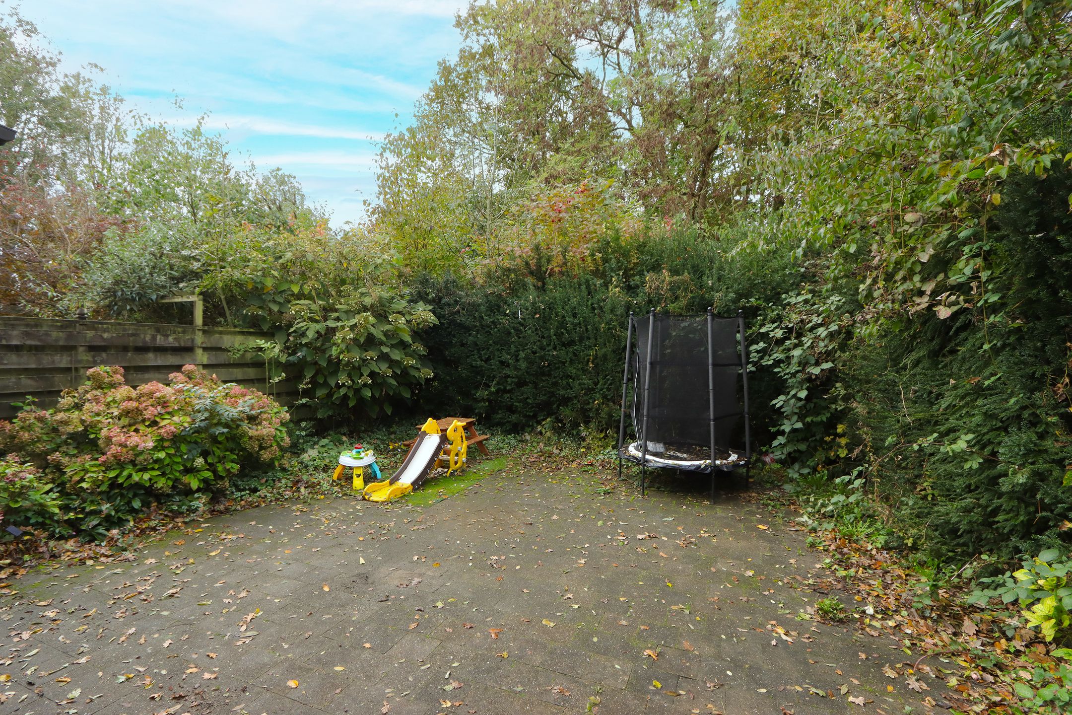 Photo 36 of De Landauer 30