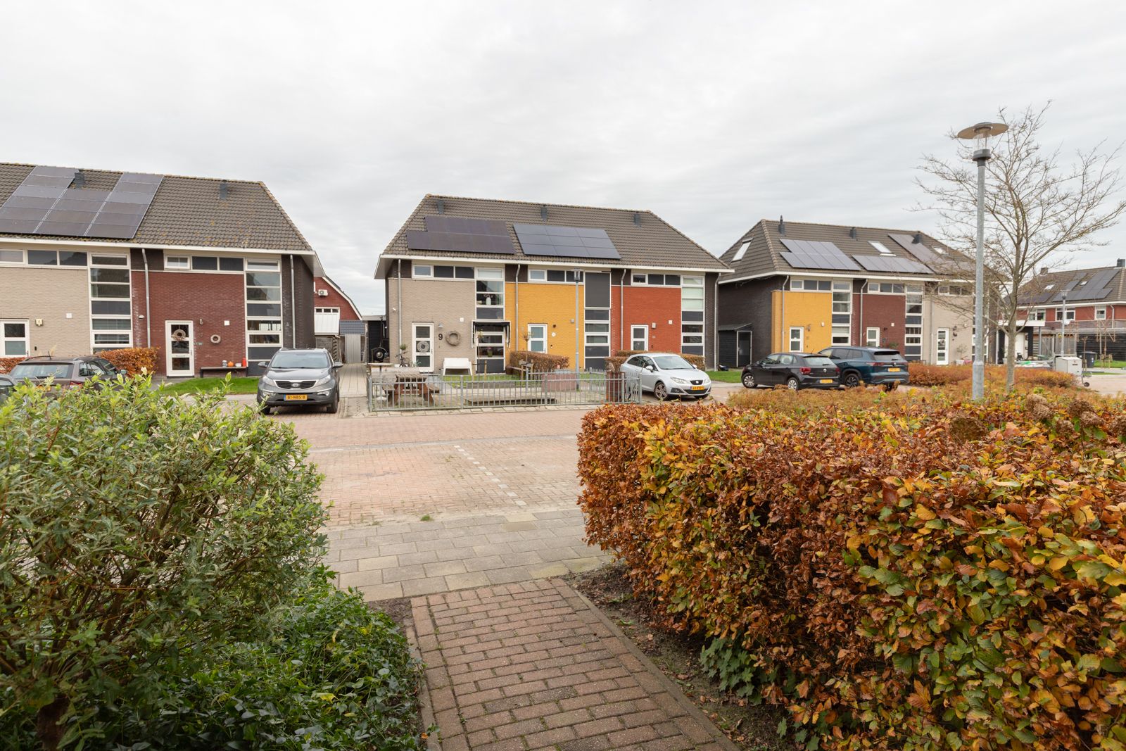 Foto 6 van Katerhals 8