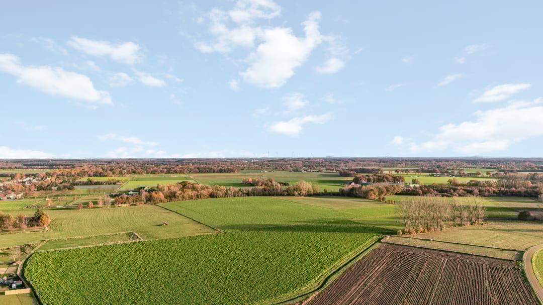 Foto 47 van Roterweg 1