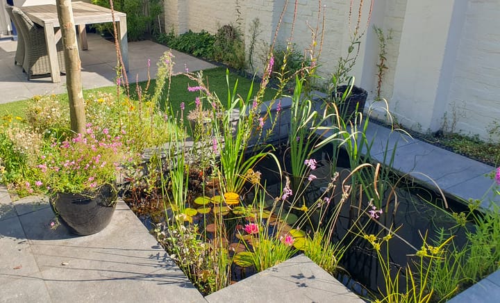 Foto 45 van Damstraat 8