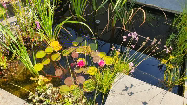 Foto 48 van Damstraat 8