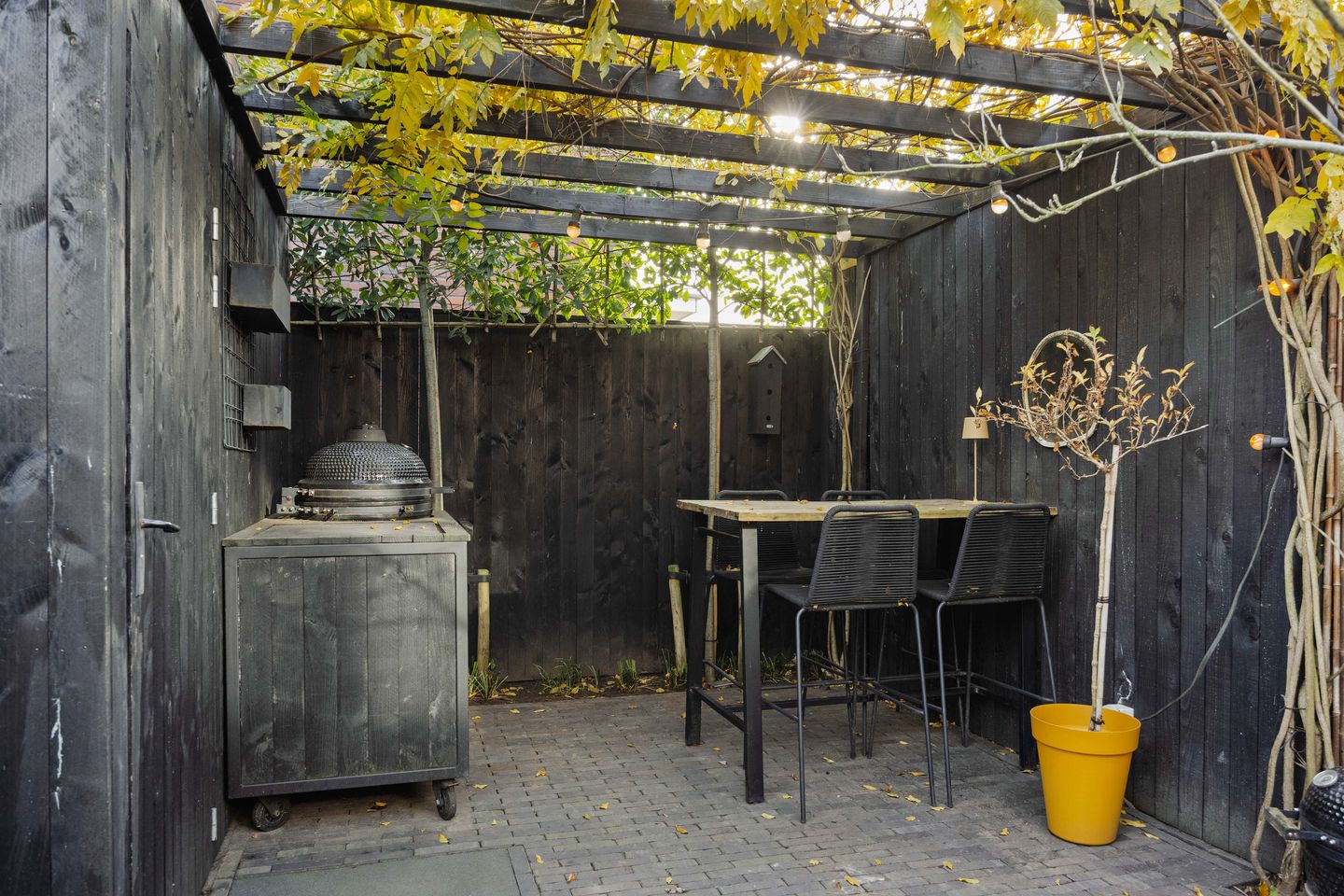 Photo 40 of Muntmeester 145