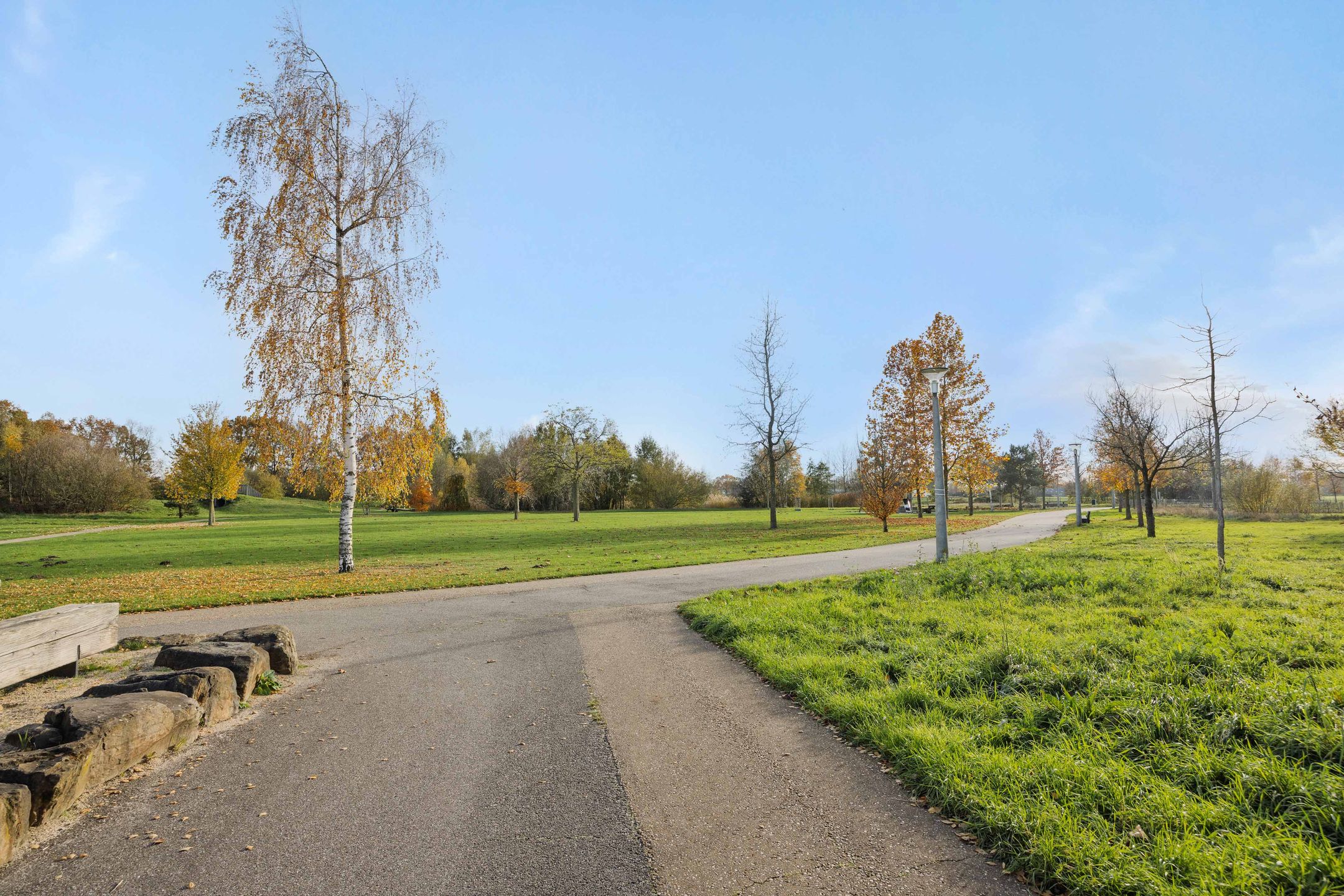 Photo 48 of Muntmeester 145