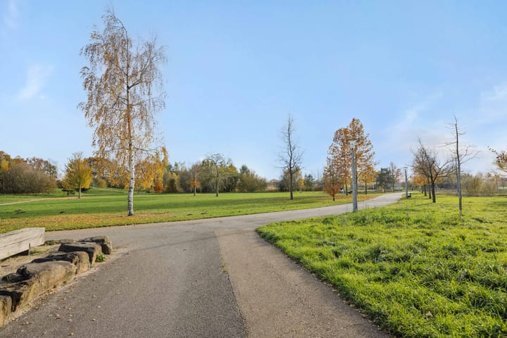 Photo 48 of Muntmeester 145