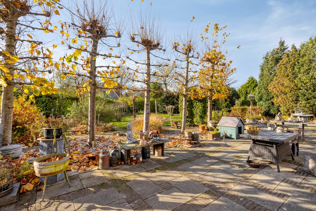 Photo 41 of Molenstraat 10