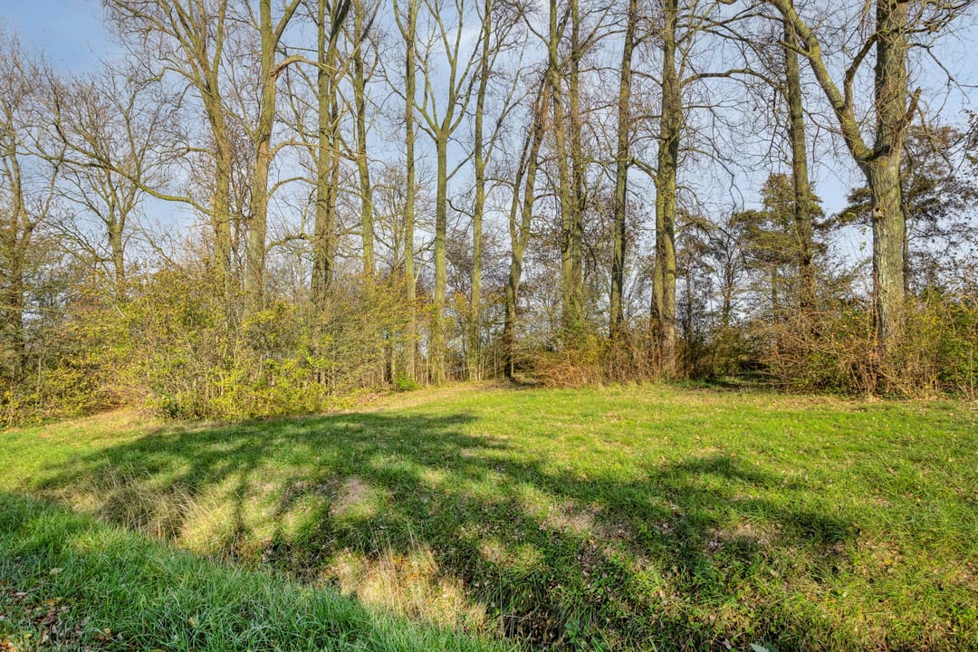 Photo 46 of Molenstraat 10