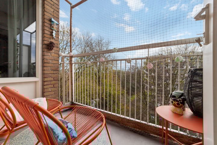 Foto 10 van Isabellaland 1490