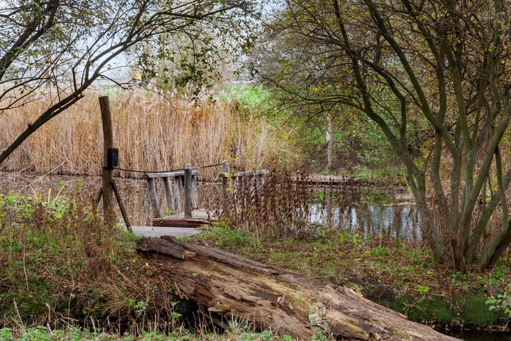 Foto 19 van Isabellaland 1490