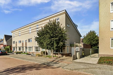 undefined main image