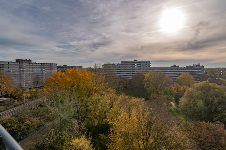 Photo 10 of Zalkerbos 295