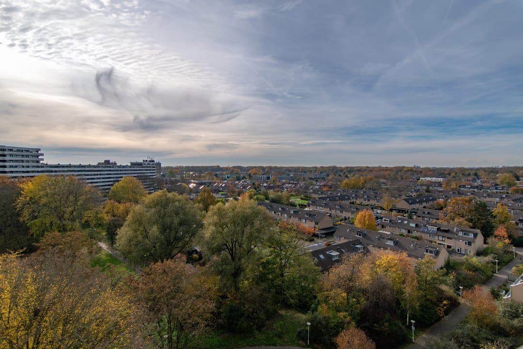 Foto 11 van Zalkerbos 295