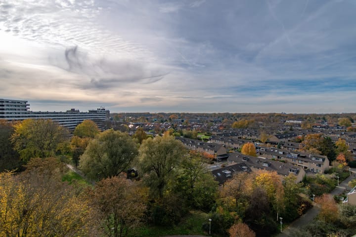 Photo 11 of Zalkerbos 295