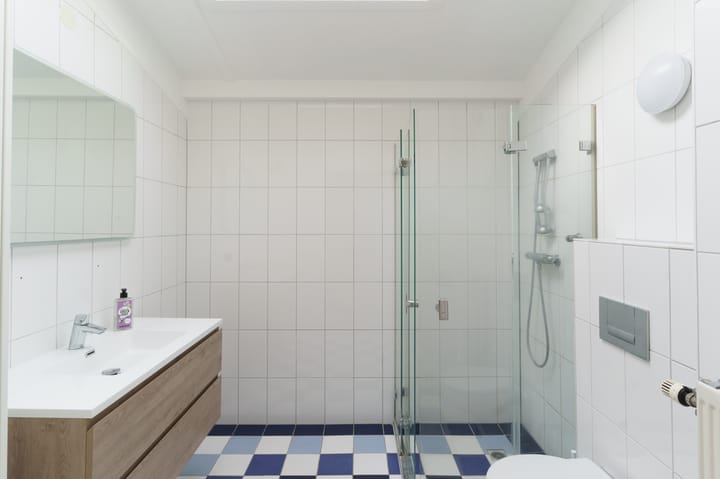 Foto 18 van Zilverplevierhof 7