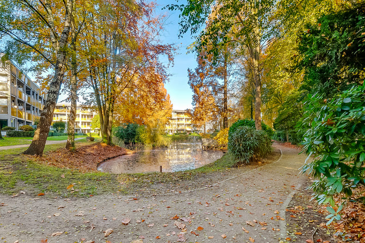 Photo 40 of Park Boswijk 358