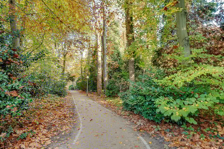 Photo 39 of Park Boswijk 358